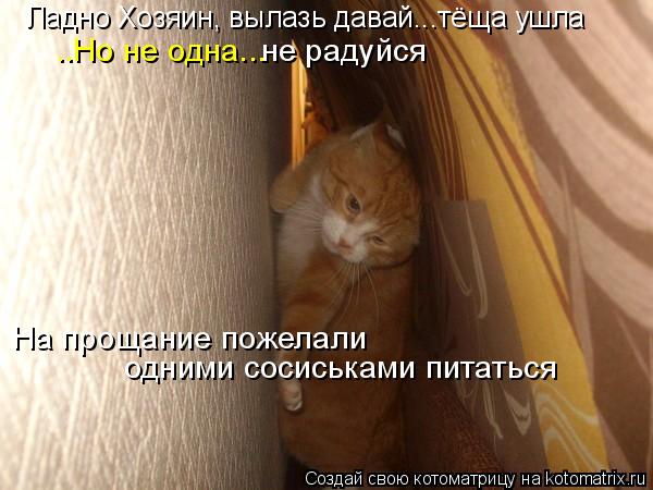 Ладно Хозяин, вылазь давай...тёща ушла ..Но не одна... не радуйся На прощание пожелали одними сосись... Котоматрица: Ладно Хозяин, вылазь давай...тёща ушла ..Но не одна... не радуйся На прощание пожелали одними сосиськами питаться