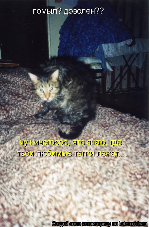 помыл? доволен?? ну ничегоооо, ято знаю, где твои любимые тапки лежат....... Котоматрица: помыл? доволен?? ну ничегоооо, ято знаю, где твои любимые тапки лежат....