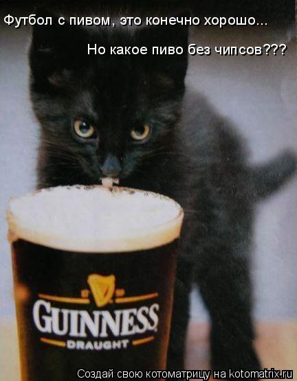 Футбол с пивом, это конечно хорошо... Но какое пиво без чипсов???... Котоматрица: Футбол с пивом, это конечно хорошо... Но какое пиво без чипсов???