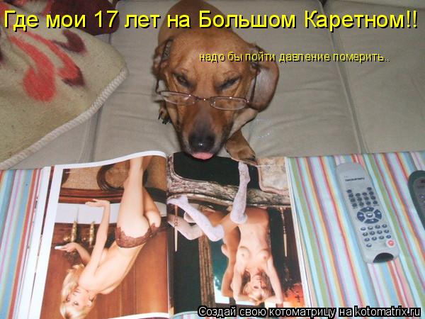 Где мои 17 лет на Большом Каретном!! надо бы пойти давление померить..... Котоматрица: Где мои 17 лет на Большом Каретном!! надо бы пойти давление померить..