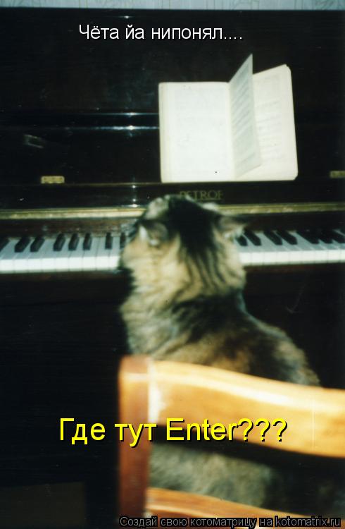 Чёта йа нипонял.... Где тут Enter???... Котоматрица: Чёта йа нипонял.... Где тут Enter???