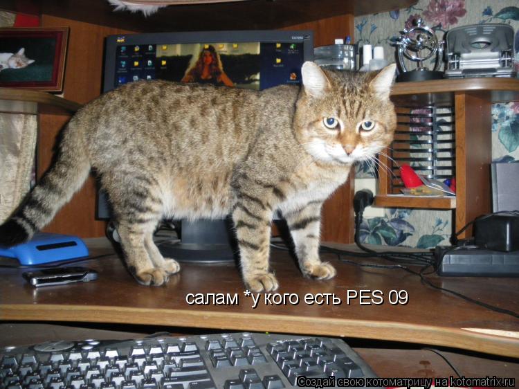 салам *у кого есть PES 09... Котоматрица: салам *у кого есть PES 09