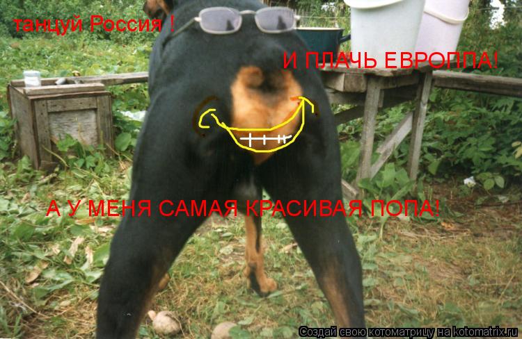 танцуй Россия ! И ПЛАЧЬ ЕВРОППА! А У МЕНЯ САМАЯ КРАСИВАЯ ПОПА!... Котоматрица: танцуй Россия ! И ПЛАЧЬ ЕВРОППА! А У МЕНЯ САМАЯ КРАСИВАЯ ПОПА!