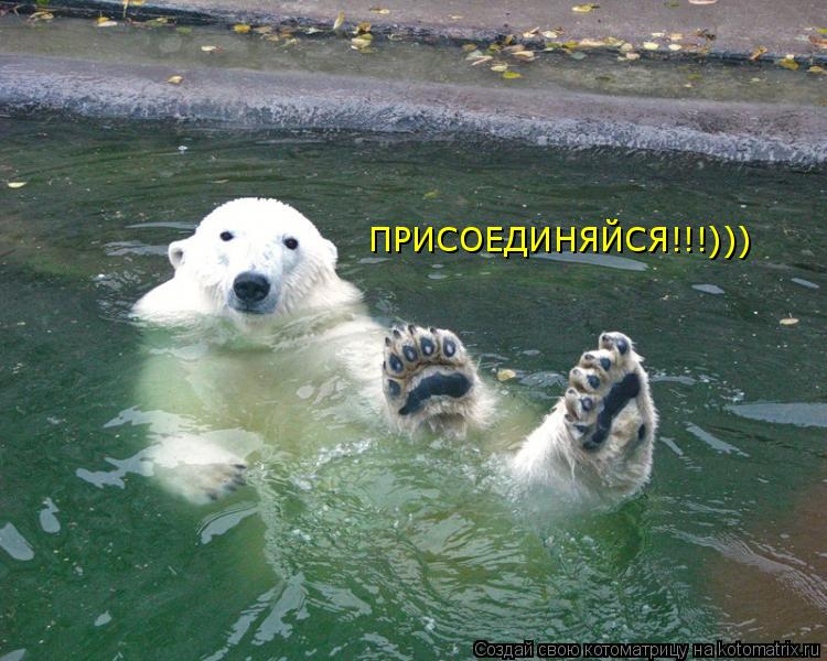 ПРИСОЕДИНЯЙСЯ!!!)))... Котоматрица: ПРИСОЕДИНЯЙСЯ!!!)))