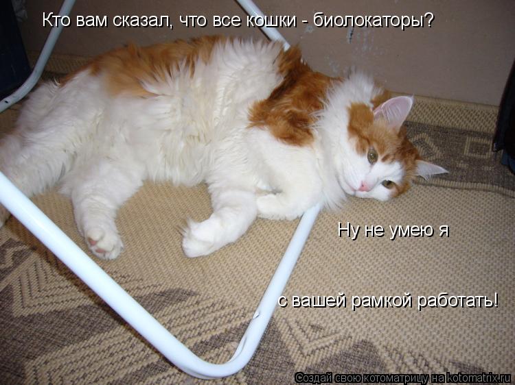 Кто вам сказал, что все кошки - биолокаторы? Ну не умею я с вашей рамкой работать!... Котоматрица: Кто вам сказал, что все кошки - биолокаторы? Ну не умею я с вашей рамкой работать!