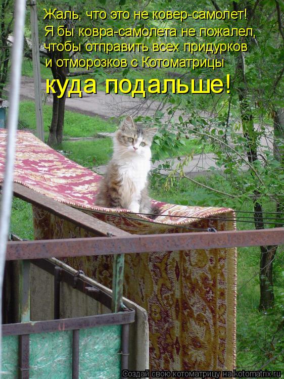 Жаль, что это не ковер-самолет! Я бы ковра-самолета не пожалел, чтобы отправить всех придурков и отмо... Котоматрица: Жаль, что это не ковер-самолет! Я бы ковра-самолета не пожалел, чтобы отправить всех придурков и отморозков с Котоматрицы куда подальше!