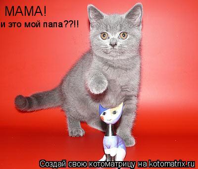 МАМА! и это мой папа??!!... Котоматрица: МАМА! и это мой папа??!!