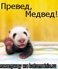 Превед, Медвед!... Котоматрица: Превед, Медвед!