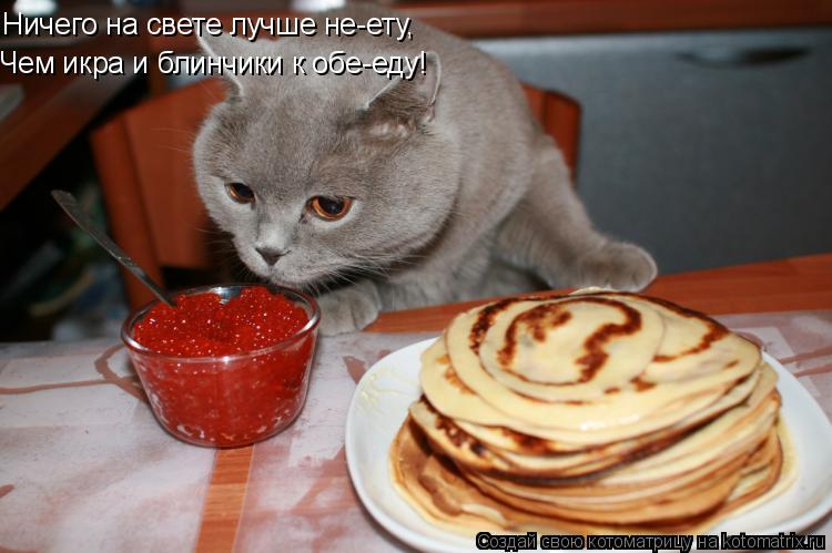 Чем икра и блинчики к обе-еду! Ничего на свете лучше не-ету,... Котоматрица: Чем икра и блинчики к обе-еду! Ничего на свете лучше не-ету,