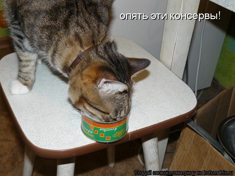 Котоматрица: опять эти консервы!