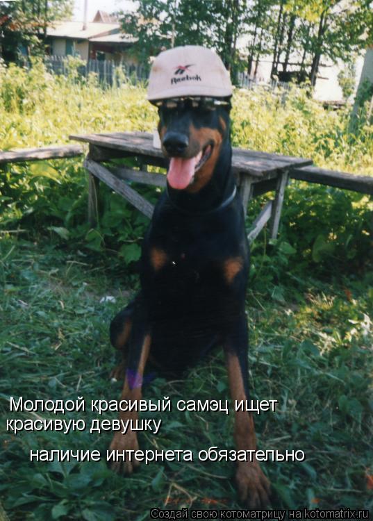 Молодой красивый самэц ищет красивую девушку наличие интернета обязательно... Котоматрица: Молодой красивый самэц ищет красивую девушку наличие интернета обязательно