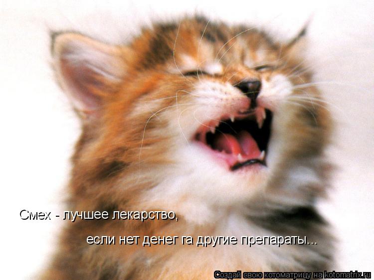 Смех - лучшее лекарство, если нет денег га другие препараты...... Котоматрица: Смех - лучшее лекарство, если нет денег га другие препараты...
