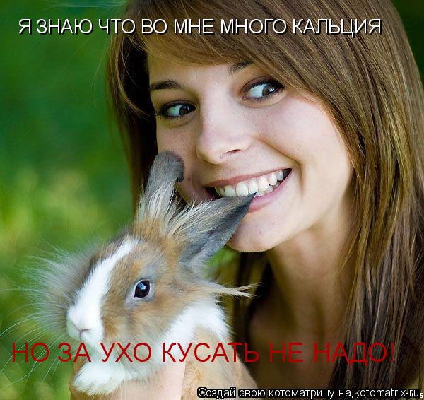 Я ЗНАЮ ЧТО ВО МНЕ МНОГО КАЛЬЦИЯ НО ЗА УХО КУСАТЬ НЕ НАДО!... Котоматрица: Я ЗНАЮ ЧТО ВО МНЕ МНОГО КАЛЬЦИЯ НО ЗА УХО КУСАТЬ НЕ НАДО!
