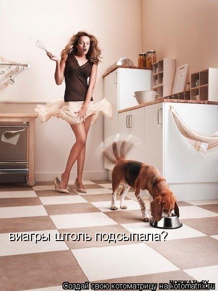 виагры штоль подсыпала?... Котоматрица: виагры штоль подсыпала?