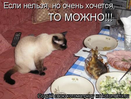 ТО МОЖНО!!! Если нельзя, но очень хочется,... Котоматрица: ТО МОЖНО!!! Если нельзя, но очень хочется,