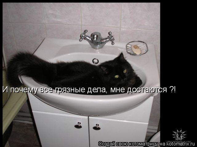 И почему все грязные дела, мне достаются ?!... Котоматрица: И почему все грязные дела, мне достаются ?!