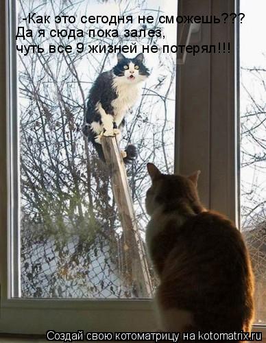 -Как это сегодня не сможешь??? Да я сюда пока залез, чуть все 9 жизней не потерял!!!... Котоматрица: -Как это сегодня не сможешь??? Да я сюда пока залез, чуть все 9 жизней не потерял!!!