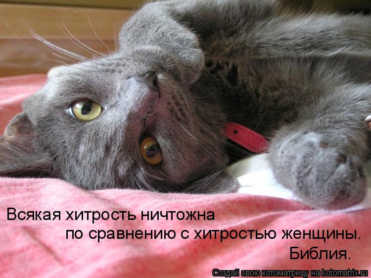 Всякая хитрость ничтожна по сравнению с хитростью женщины. Библия.... Котоматрица: Всякая хитрость ничтожна по сравнению с хитростью женщины. Библия.