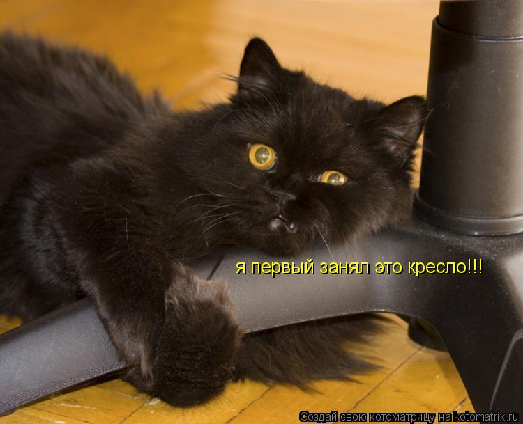 я первый занял это кресло!!!... Котоматрица: я первый занял это кресло!!!