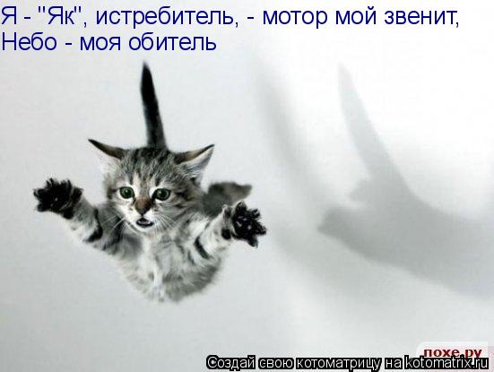 Я - "Як", истребитель, - мотор мой звенит, Небо - моя обитель... Котоматрица: Я - "Як", истребитель, - мотор мой звенит, Небо - моя обитель