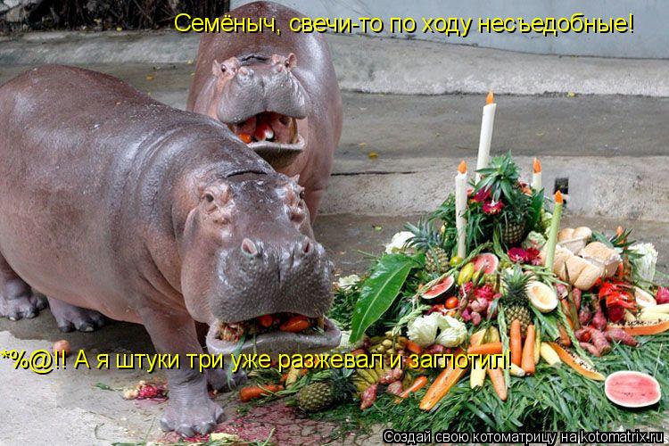 Семёныч, свечи-то по ходу несъедобные! *%@!! А я штуки три уже разжевал и заглотил!... Котоматрица: Семёныч, свечи-то по ходу несъедобные! *%@!! А я штуки три уже разжевал и заглотил!