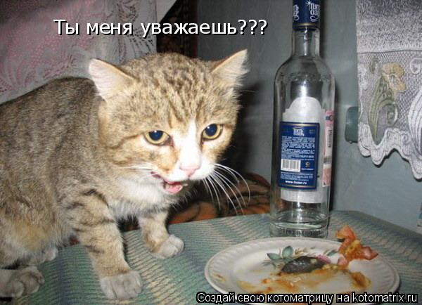 Котоматрица: Ты меня уважаешь???