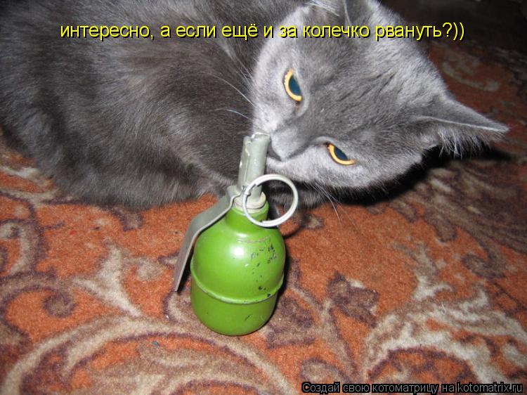 интересно, а если ещё и за колечко рвануть?))... Котоматрица: интересно, а если ещё и за колечко рвануть?))