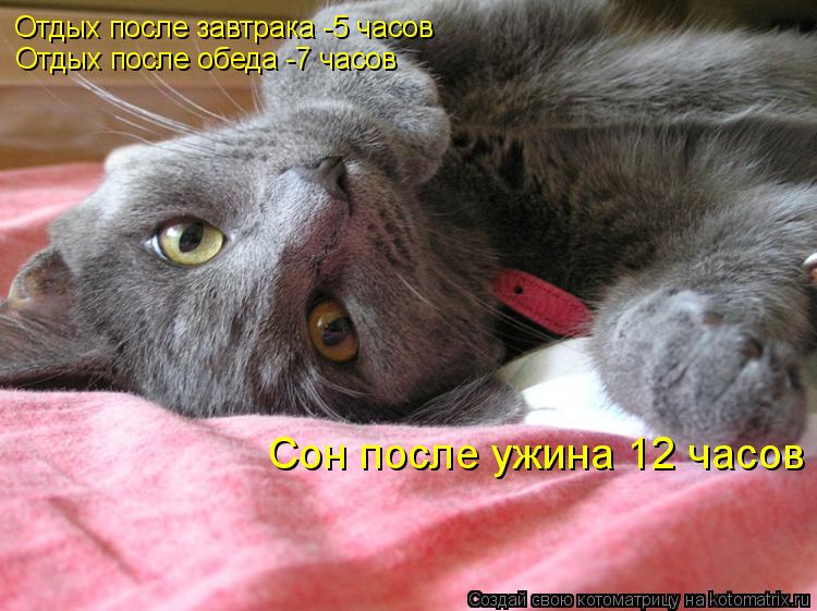 Отдых после завтрака -5 часов Отдых после обеда -7 часов Сон после ужина 12 часов... Котоматрица: Отдых после завтрака -5 часов Отдых после обеда -7 часов Сон после ужина 12 часов