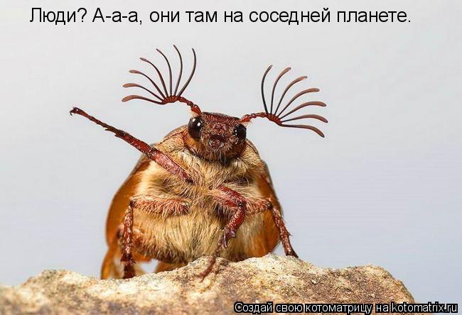 Люди? А-а-а, они там на соседней планете.... Котоматрица: Люди? А-а-а, они там на соседней планете.