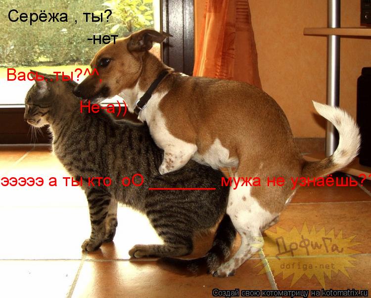 Серёжа , ты? -нет Вась..ты?^^, Не-а)) эээээ а ты кто оО _______ мужа не узнаёшь?????... Котоматрица: Серёжа , ты? -нет Вась..ты?^^, Не-а)) эээээ а ты кто оО _______ мужа не узнаёшь?????