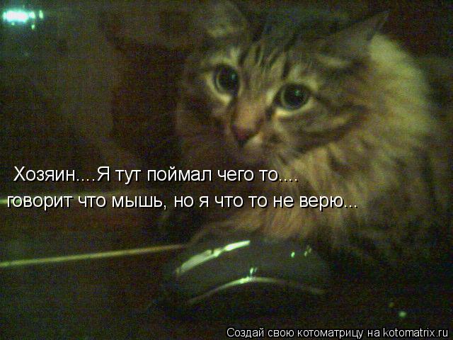Хозяин....Я тут поймал чего то.... говорит что мышь, но я что то не верю...... Котоматрица: Хозяин....Я тут поймал чего то.... говорит что мышь, но я что то не верю...