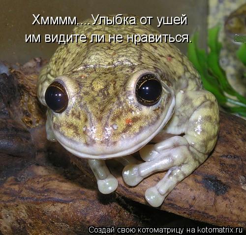Хмммм....Улыбка от ушей им видите ли не нравиться.... Котоматрица: Хмммм....Улыбка от ушей им видите ли не нравиться.