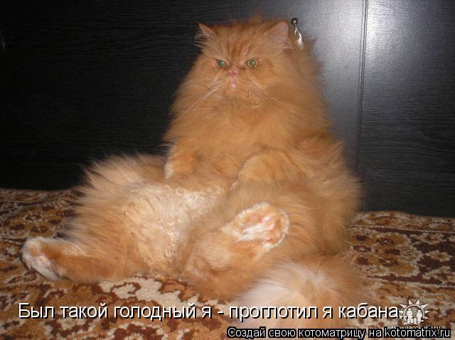 Был такой голодный я - проглотил я кабана...... Котоматрица: Был такой голодный я - проглотил я кабана...