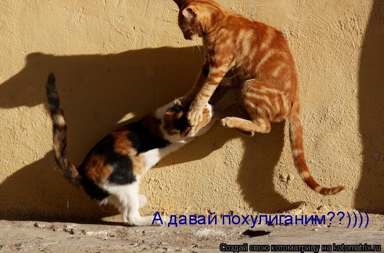 А давай похулиганим??))))... Котоматрица: А давай похулиганим??))))