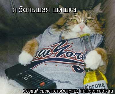 я большая шишка... Котоматрица: я большая шишка