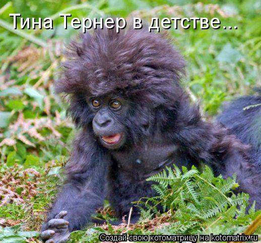 Тина Тернер в детстве...... Котоматрица: Тина Тернер в детстве...