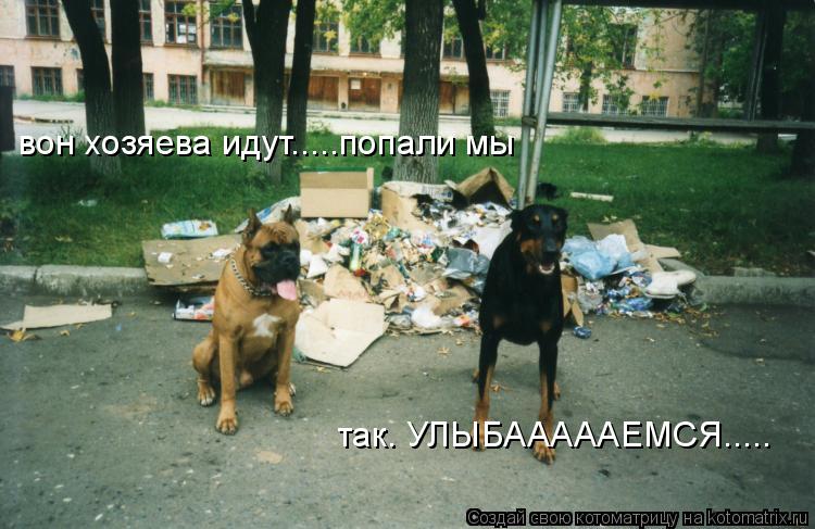 вон хозяева идут.....попали мы так. УЛЫБАААААЕМСЯ........ Котоматрица: вон хозяева идут.....попали мы так. УЛЫБАААААЕМСЯ.....