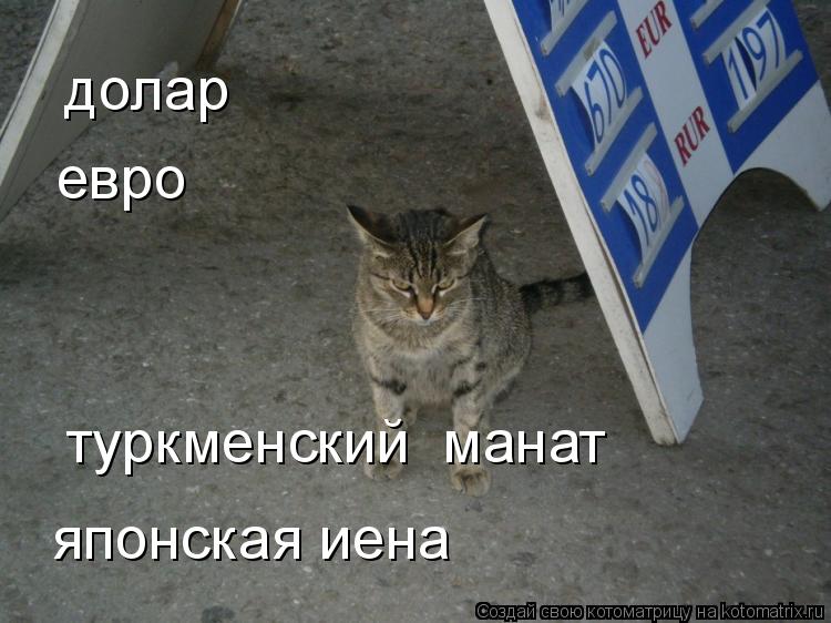 японская иена долар евро туркменский манат... Котоматрица: японская иена долар евро туркменский манат