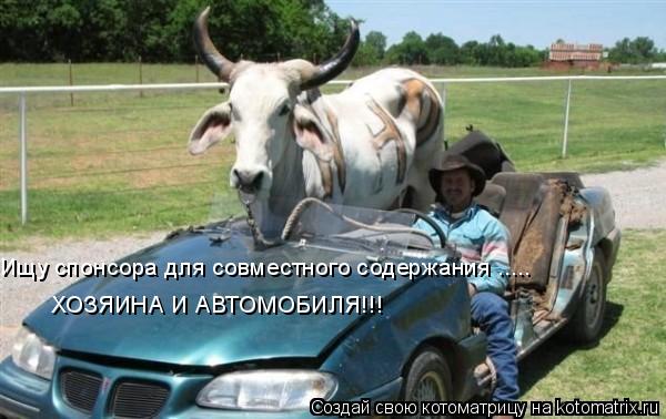 Ищу спонсора для совместного содержания ..... ХОЗЯИНА И АВТОМОБИЛЯ!!!... Котоматрица: Ищу спонсора для совместного содержания ..... ХОЗЯИНА И АВТОМОБИЛЯ!!!
