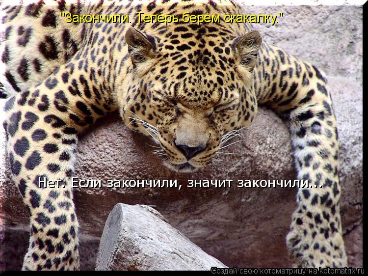 "Закончили. Теперь берем скакалку." Нет. Если закончили, значит закончили...... Котоматрица: "Закончили. Теперь берем скакалку." Нет. Если закончили, значит закончили...