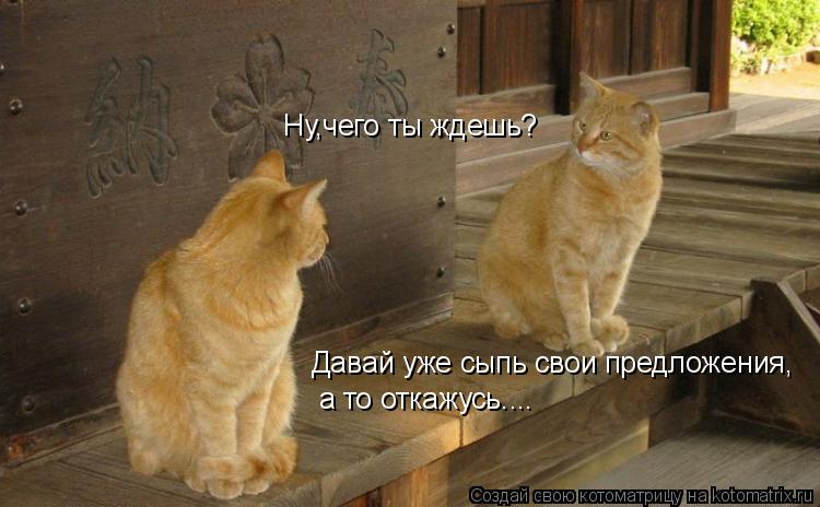 Давай уже сыпь свои предложения, а то откажусь.... Ну,чего ты ждешь?... Котоматрица: Давай уже сыпь свои предложения, а то откажусь.... Ну,чего ты ждешь?