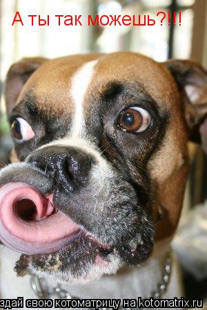 А ты так можешь?!!!... Котоматрица: А ты так можешь?!!!