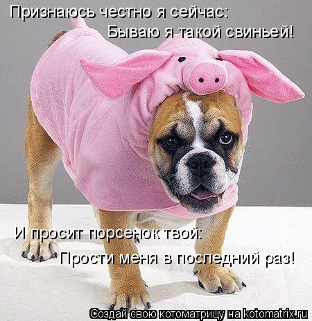 Признаюсь честно я сейчас: Бываю я такой свиньей! И просит порсенок твой: Прости меня в последний раз... Котоматрица: Признаюсь честно я сейчас: Бываю я такой свиньей! И просит порсенок твой: Прости меня в последний раз!