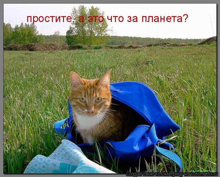 простите, а это что за планета?... Котоматрица: простите, а это что за планета?
