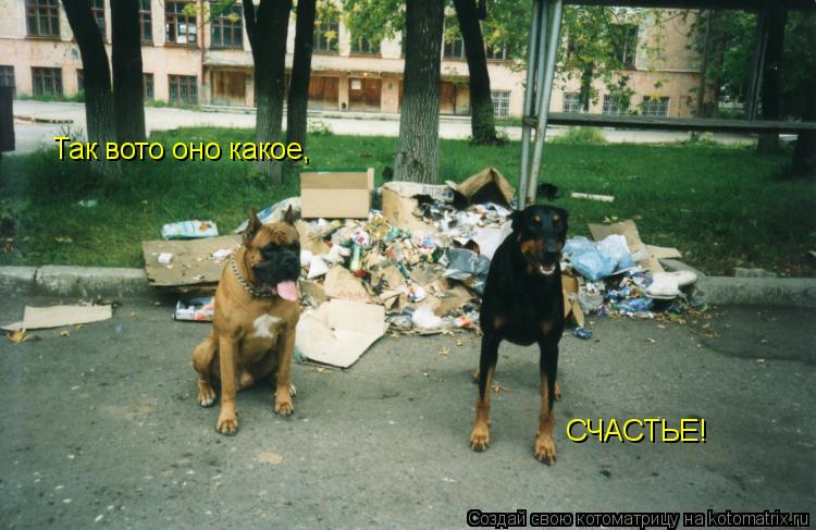 Так вото оно какое, СЧАСТЬЕ!... Котоматрица: Так вото оно какое, СЧАСТЬЕ!