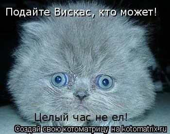 Подайте Вискас, кто может! Целый час не ел!... Котоматрица: Подайте Вискас, кто может! Целый час не ел!