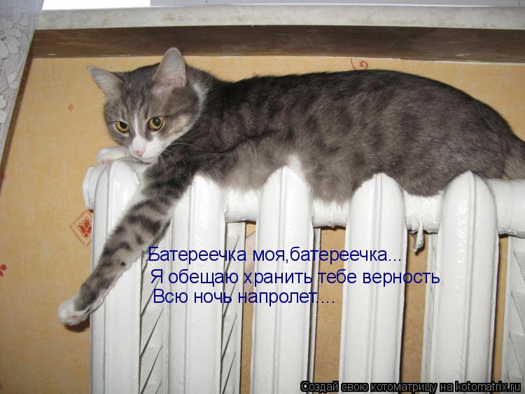 Батереечка моя,батереечка... Я обещаю хранить тебе верность Всю ночь напролет....... Котоматрица: Батереечка моя,батереечка... Я обещаю хранить тебе верность Всю ночь напролет....