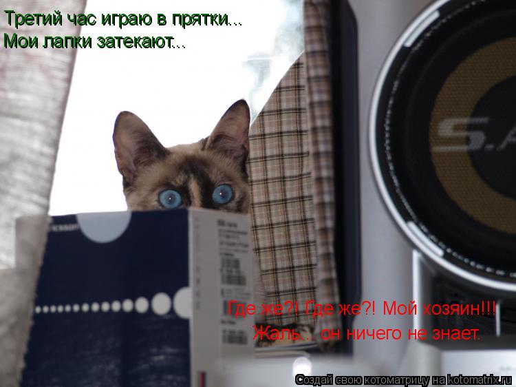 Третий час играю в прятки... Мои лапки затекают... Где же?! Где же?! Мой хозяин!!! Жаль... он ничего ... Котоматрица: Третий час играю в прятки... Мои лапки затекают... Где же?! Где же?! Мой хозяин!!! Жаль... он ничего не знает.