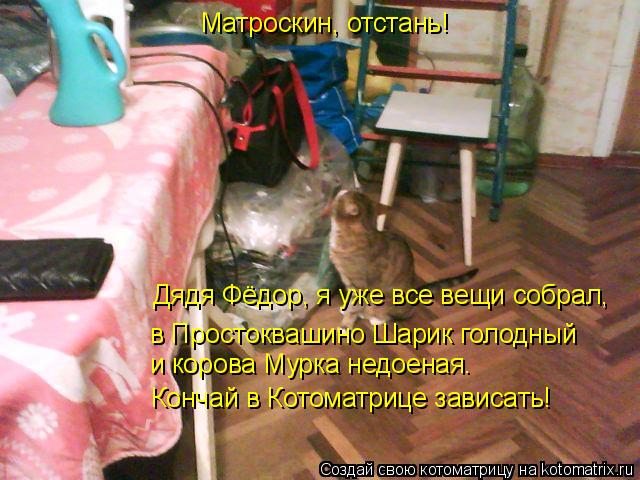 Матроскин, отстань! Дядя Фёдор, я уже все вещи собрал, в Простоквашино Шарик голодный и корова Мурка... Котоматрица: Матроскин, отстань! Дядя Фёдор, я уже все вещи собрал, в Простоквашино Шарик голодный и корова Мурка недоеная. Кончай в Котоматрице зависат