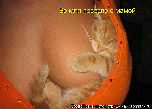 Во мля повезло с мамой!!! Во мля повезло с мамой!!!... Котоматрица: Во мля повезло с мамой!!! Во мля повезло с мамой!!!
